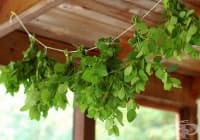 ����������� �������� ����� �������� ������