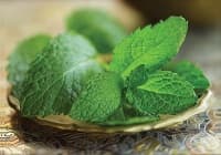 ����������� �����, �� �� ��������� ����������� �� ���� ��