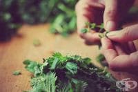 ����������� ������� �������� ������� �� ������