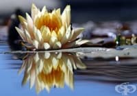 ����������� ���������� �� �����, �� �� ��������� ����� � ������ ����� � �������