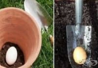 ����������� ����, �� �� ���������� �������