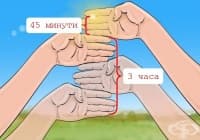 ������������ �� �� ��������, �� �� ��������� ����� � �����