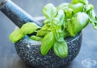 ����������� ���� �� ������� � ������� ����� �������� �� ��������