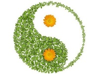 ����������� ���� 10 ��������, ����� �� ������ ��������� ������� � ���� ��