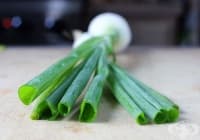 ����������� ����� ��� ����� ��������� �����, ����� � ������ �����