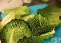 ����������� ������ ����� �� ������� �� �����, ��������� ����� � ����������