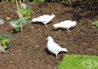 ����������� �����, �� �� ���������� �������� �� �����