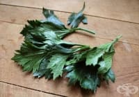 ��������� ������ �� � ����� �� ������