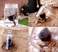 ��������� ���������� � ������ �� ����