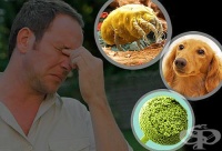 ��� �� �������� 10-�� ������� ��������� �� ������� � ���� ��?