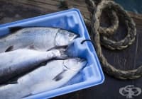 ��� �� ������� ������ ����?