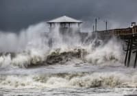 ��� �� �������� � ����������� �� ����� �� ������