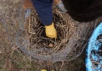 ��� �� ��������� ���������� ���������� ������� � ��������� ������