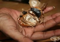 ��� �� ��������� ������� �� ������ � ��������? 