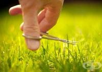 ��� �� ���������� ����� � ������� �������� ������ �����?