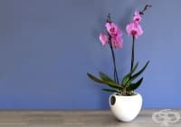 ��� �� �������� ��������� ���� ������, �� �� �� ��������� � �� �������� �� ������