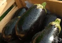 ��� �� ���������� �������� ���� �� ����������