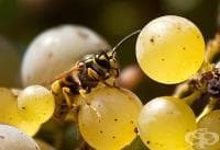 ��� �� �������� ����� � ������� �� ������?