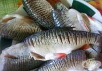 ��� �� �������� ���� ����, ����� � ��� �����?