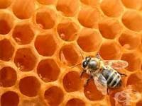 ��� �� �������� ���� ����� � ���� ��� �������� �� ��������?