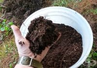 ��� �� �������� ���� � ������� �� ���������� ��� ���������?