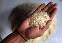 ��� �� �������� ��������� �� �������� ����