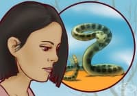 ��� �� ���������� ���� ���� ���� � �������?