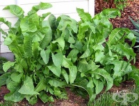    &#8203;&#8203;  ,     ?