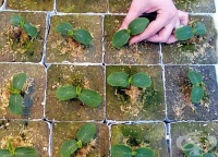 ��� �� �� ������� � 5-�� �������, ������ ����� �������� �������?