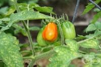 ��� �� �� ������� � ������ ����� � ����������� �� ��������?