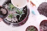 ��� �� �� �������� �������� � ������� �������?