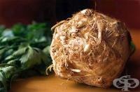 ��� �� �� ��������� ����� �� ������?