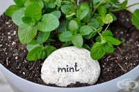 ��� �� �� ��������� ����� � ����?