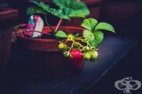 ��� �� �� ��������� ����� � ����?