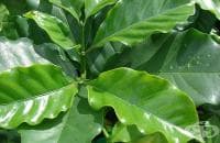 ��� �� �� �������� ������� ������ �� 1 ������ ����?