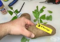 ��� �� �� �������� ��������� ������ � ������?