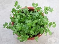 ��� �� �� ������� ��������� � ����?