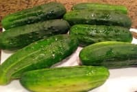 ��� ���� �� �� �������� ���������� �� ������?