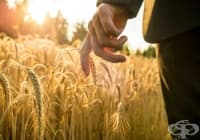 ��� ������ ������������ �� ���������� �������?