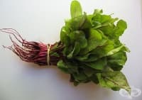 ��� ���� �� �� �������� ����� �� ������� ������?