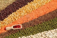 ����� ������ ������ ������ �� ���������� �� ��������� ��? (2 ����)