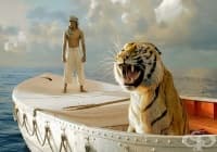 ����� �� �������, ��� �� �������� � ������� ����?