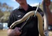 ����� �� �������, ��� �������� ���� � ��� �� ��������� ���� � �������