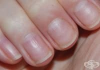 ����� ������� ������������� � �������� �� ������� �� ������ ������?