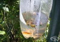 ��� ������ ��� �������� ���� ��������� ��������� ����� �� �������� � ���