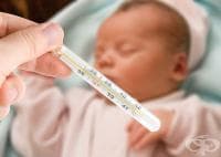 ���� �� �������� ����� ����� �� ������ ����?