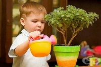 ��� ����� �� ������ � �������� ���� � ��� ������������ �� ������ �� ���?