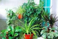 ��� ����� ����� �� ������� �� ������� � ��� �� �� ���������� �� ���� ���?