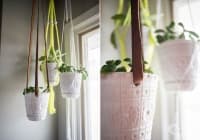 ���������� ������ ����� ��� ������ �������� �� ������ 