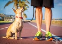 ����� ������ �� ������ ����� ���, �� �� ��������� �� ������ �����?